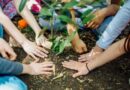 Realizarán una jornada del programa “La Tierra y el Buen Vivir”