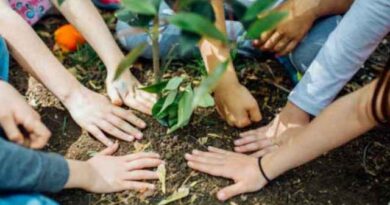 Realizarán una jornada del programa “La Tierra y el Buen Vivir”