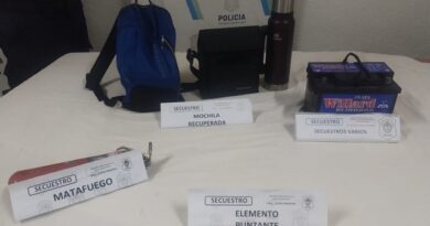 Dos detenidos por robo en la vía pública